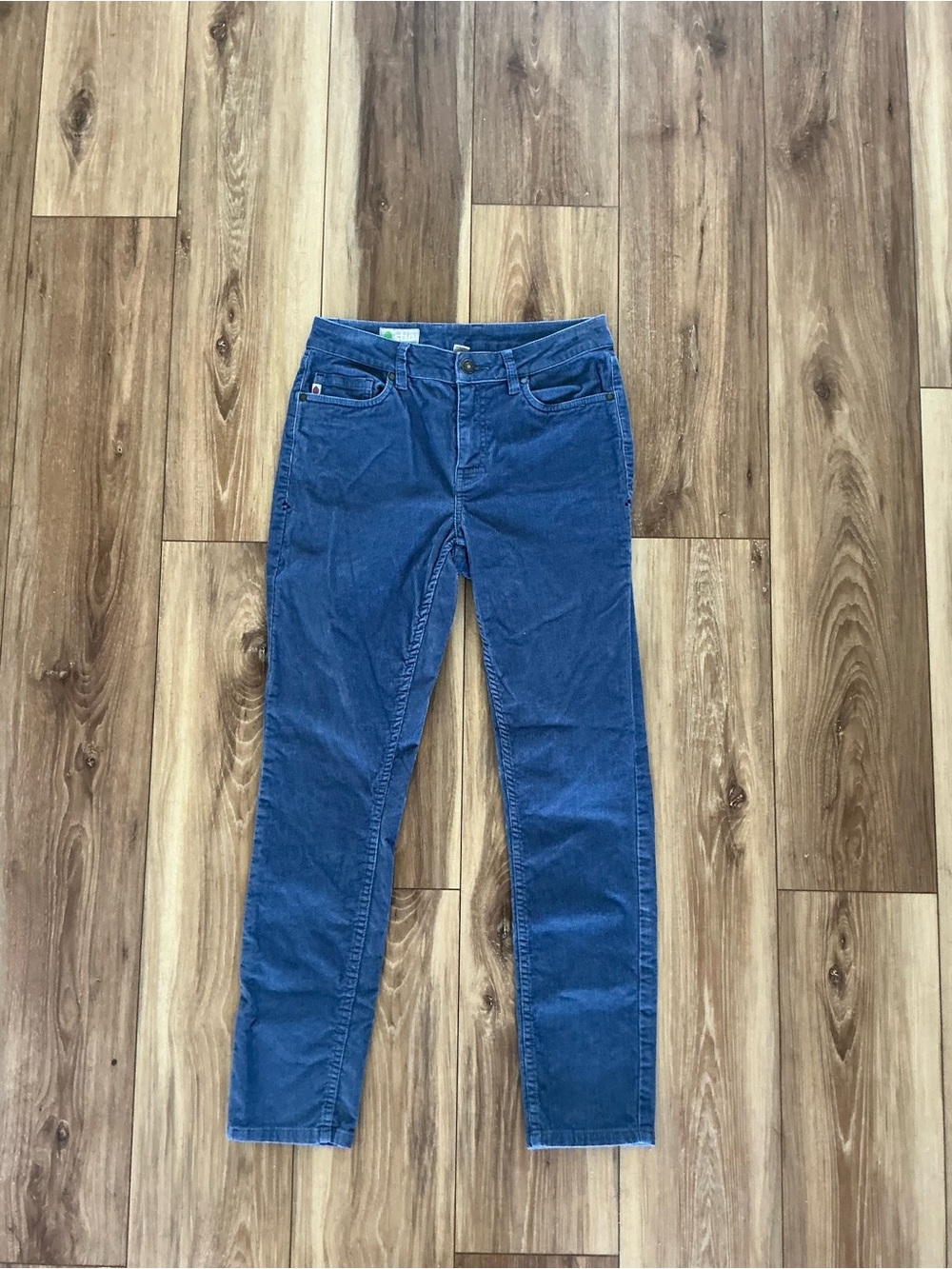 Stio women’s corduroy blue pants size 2s